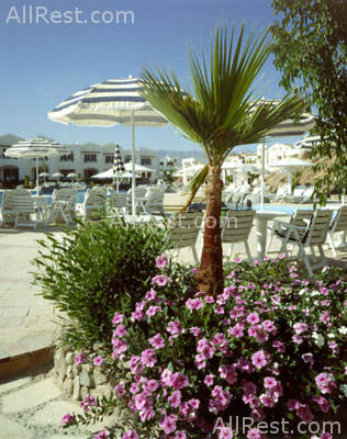 Noria Resort 7